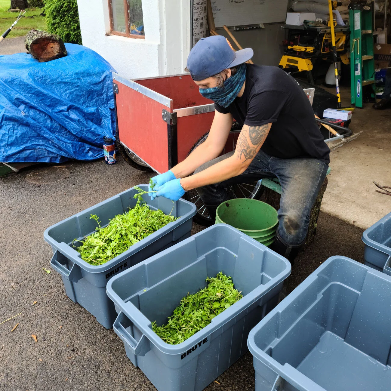 New Jersey Farm NYC Farm — Closter Farm